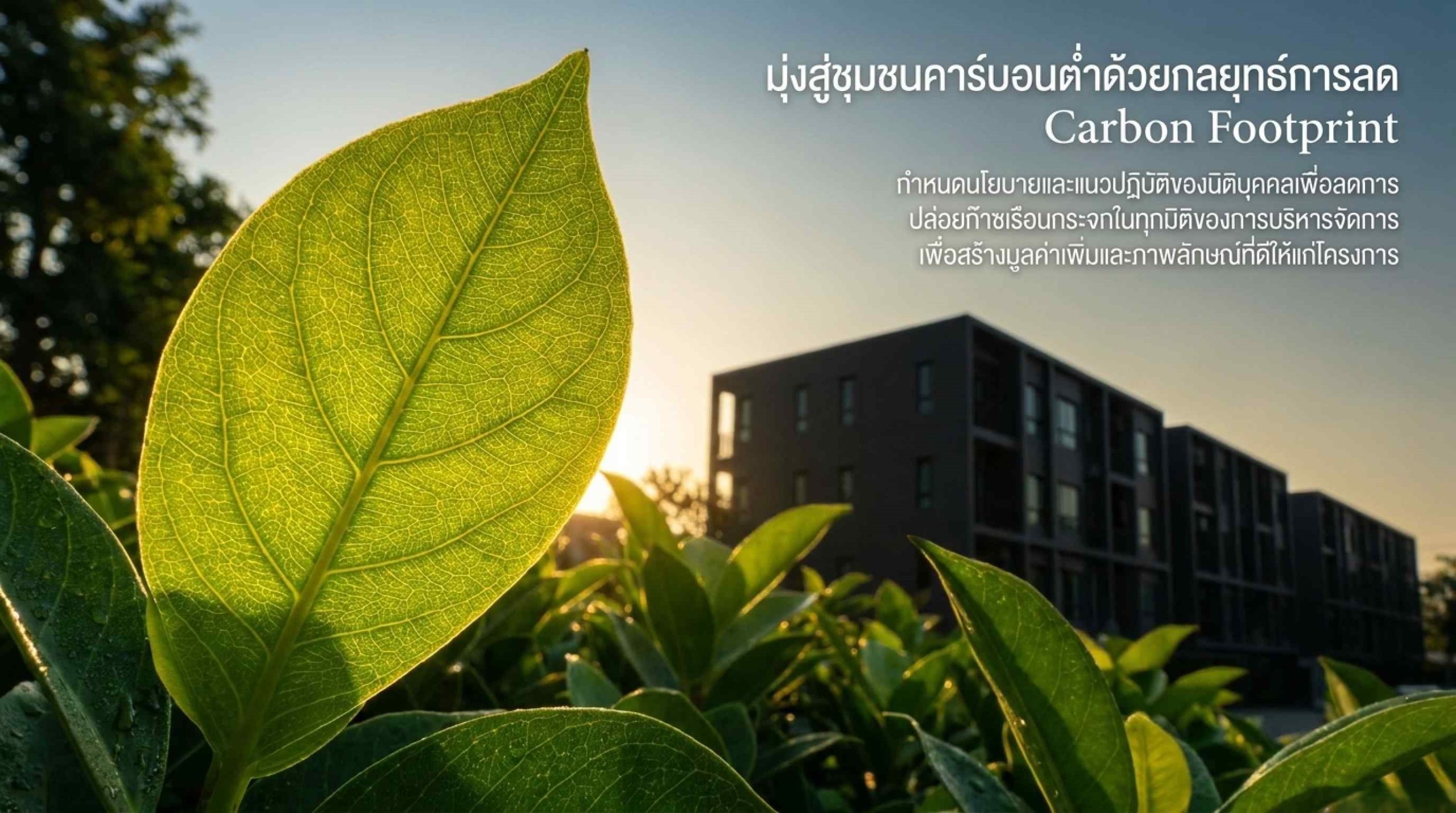กลยุทธ์การลด Carbon Footprint ของนิติบุคคล