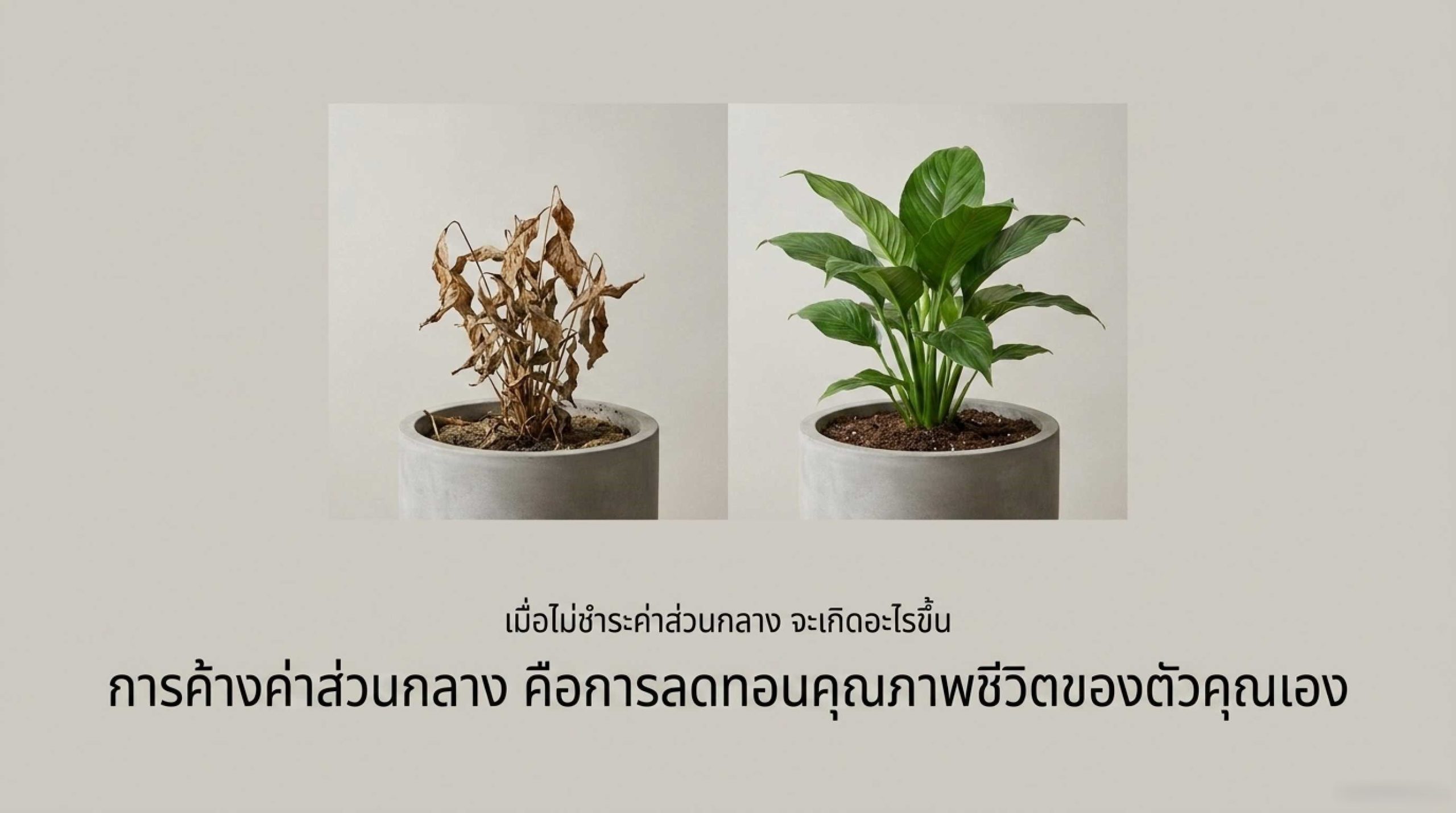 เมื่อไม่ชำระค่าส่วนกลาง จะเกิดอะไรขึ้น